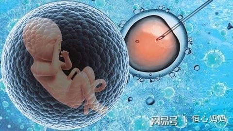借精试管助孕